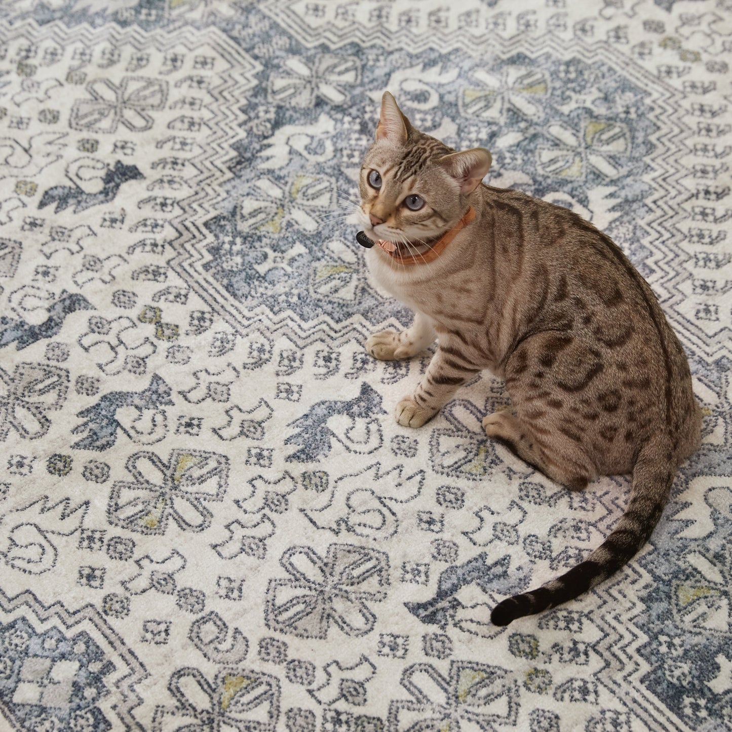 Nadine- 06 Rug