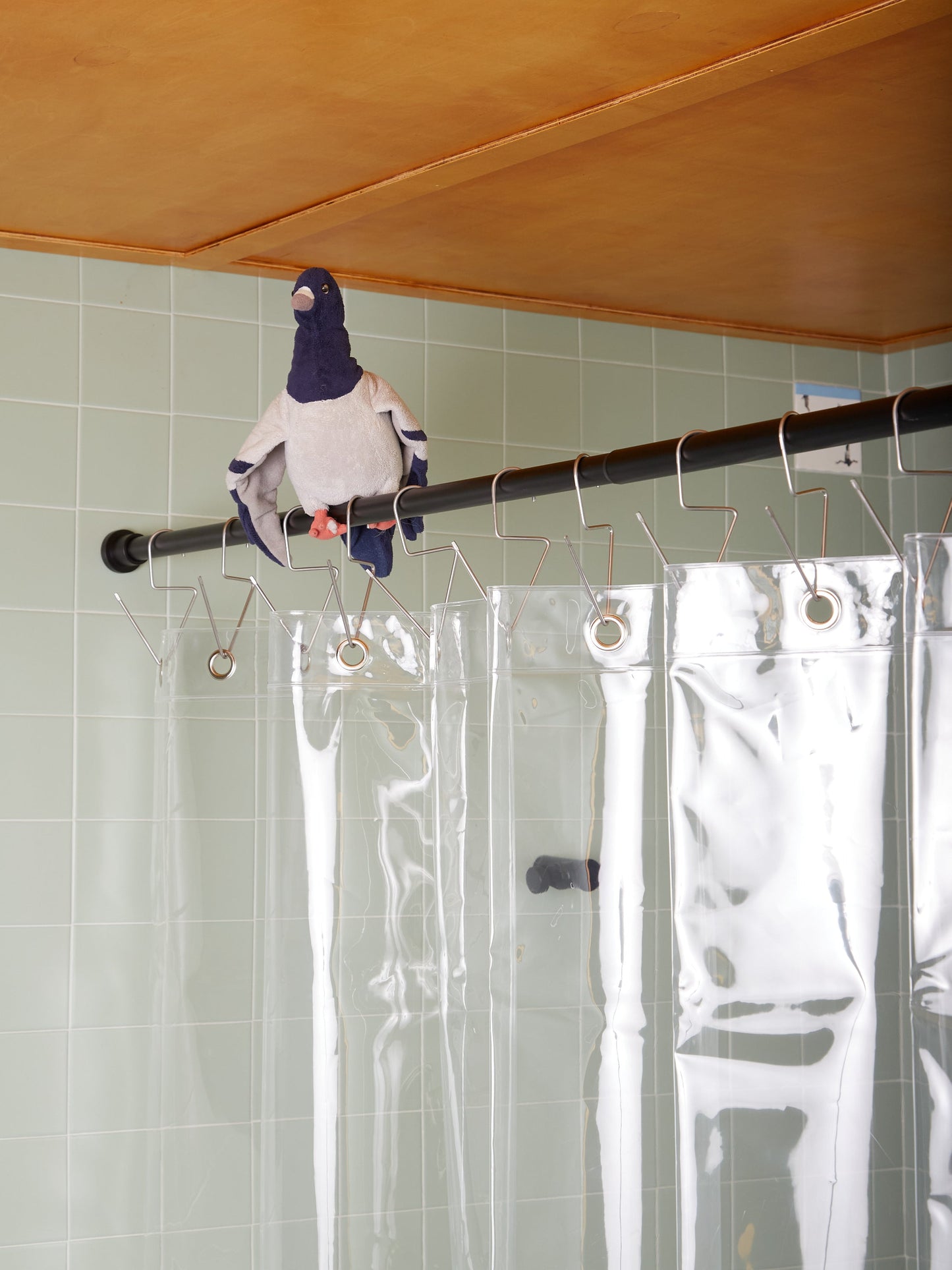 Shower Curtain Hooks