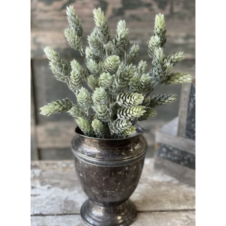 Frost Ridge Hops Bush 15"