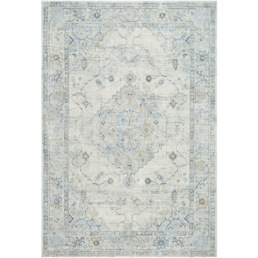 Avellino AVL-2314 Rug- Beige, Blue, Gray