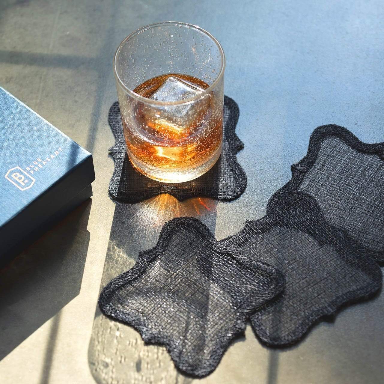Blue Pheasant Lorisa Dark Navy Coasters - Set of 4
