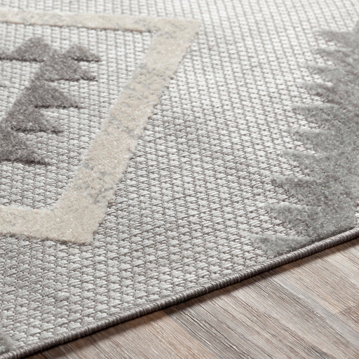 Big Sur Rug - BSR2313 - Gray/Cream