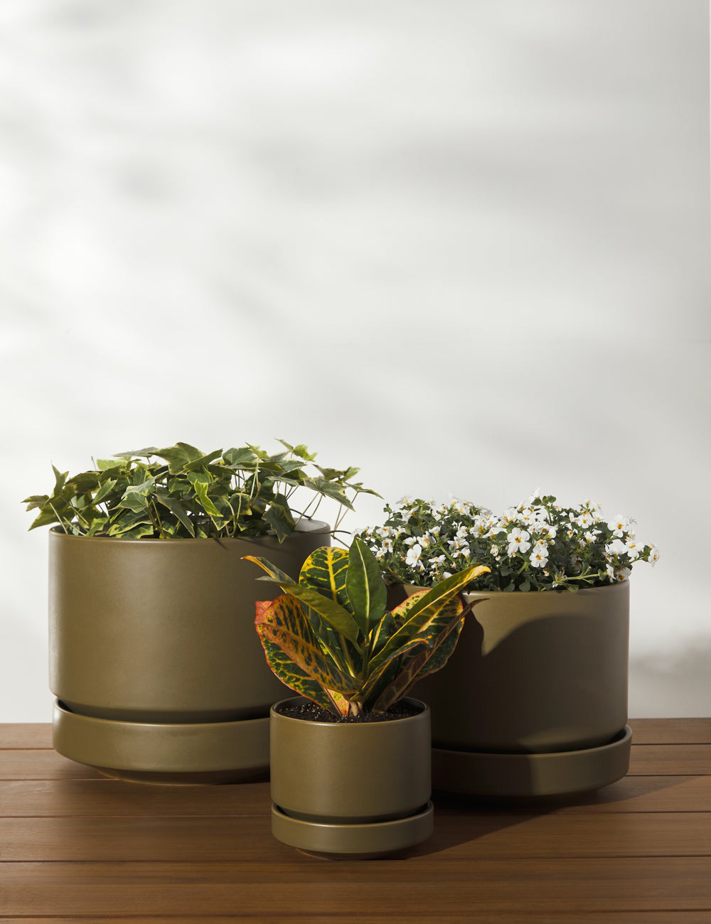 #color::olive#size::10--Diameter #size::8--Diameter #size::4--Diameter