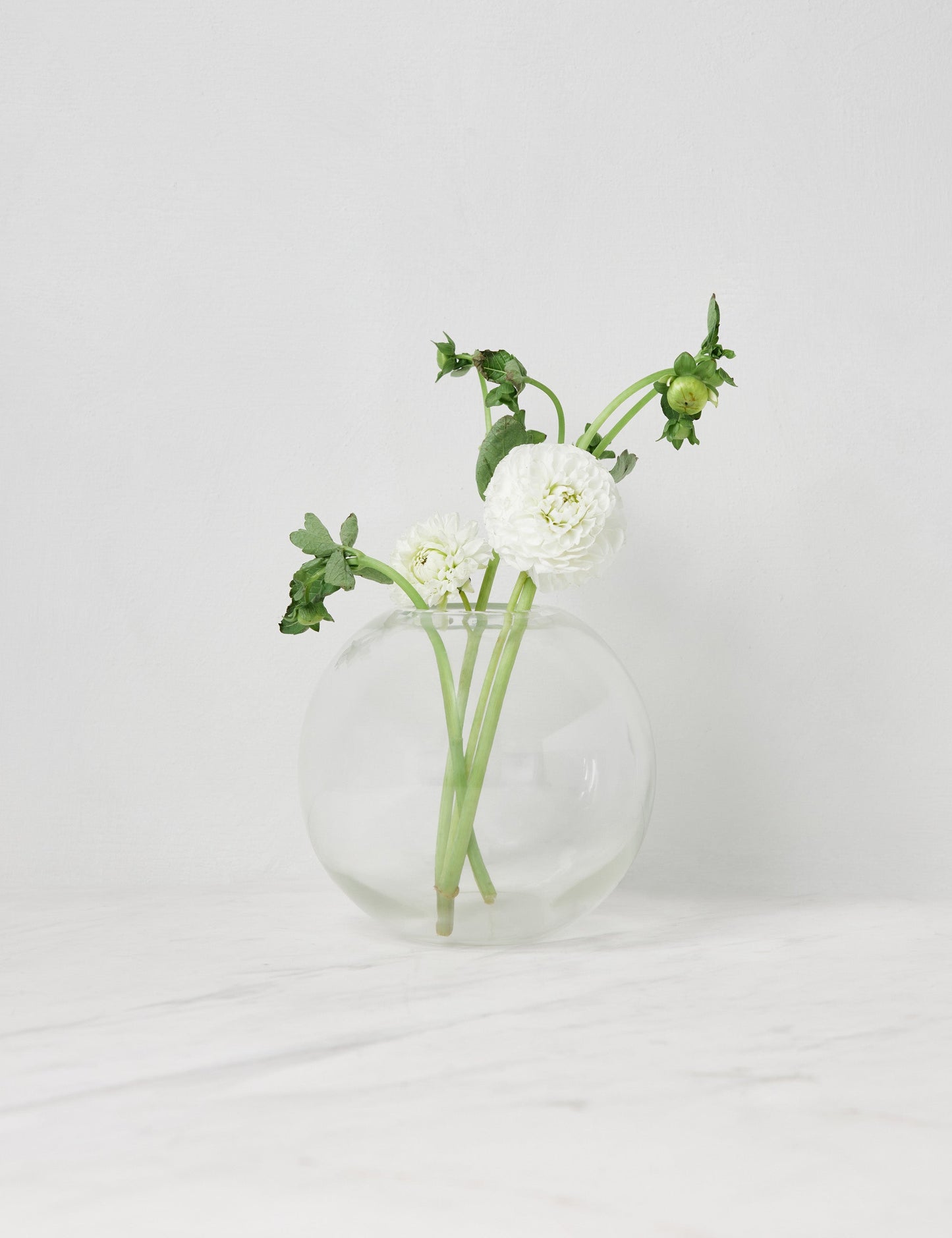 #color::clear #size::large