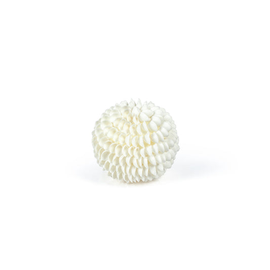 Clamrose Sea Shell Fill Ball