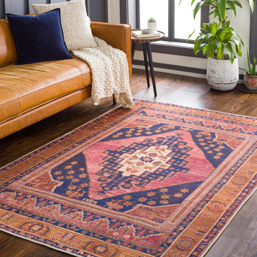Amelie Rug - AML2347 - Rose/Blue