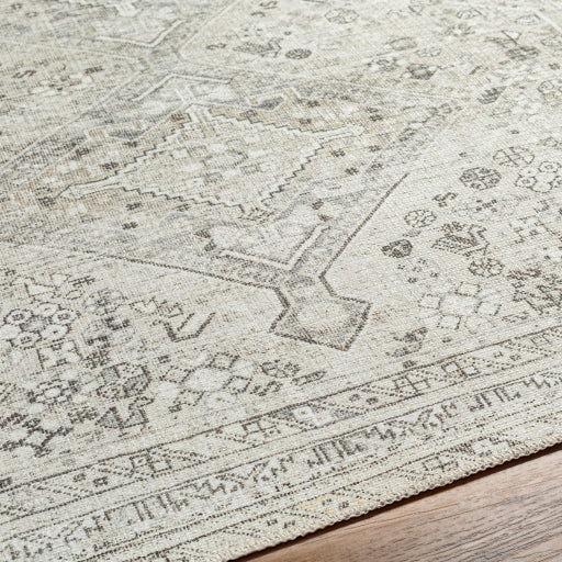 Amelie Rug - AML2379 - Ivory/Gray