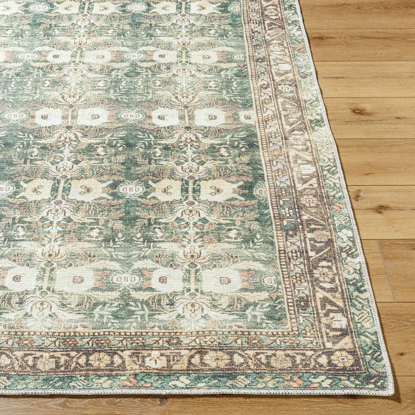 Amelie Rug - AML2396 - Green, Coral