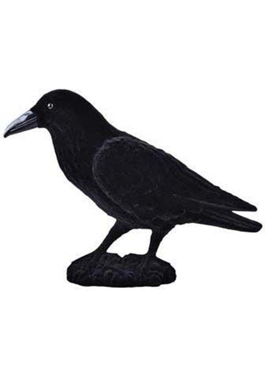 Bartram the Raven | DECORATION