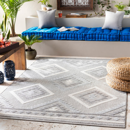 Big Sur Rug - BSR2313 - Gray/Cream