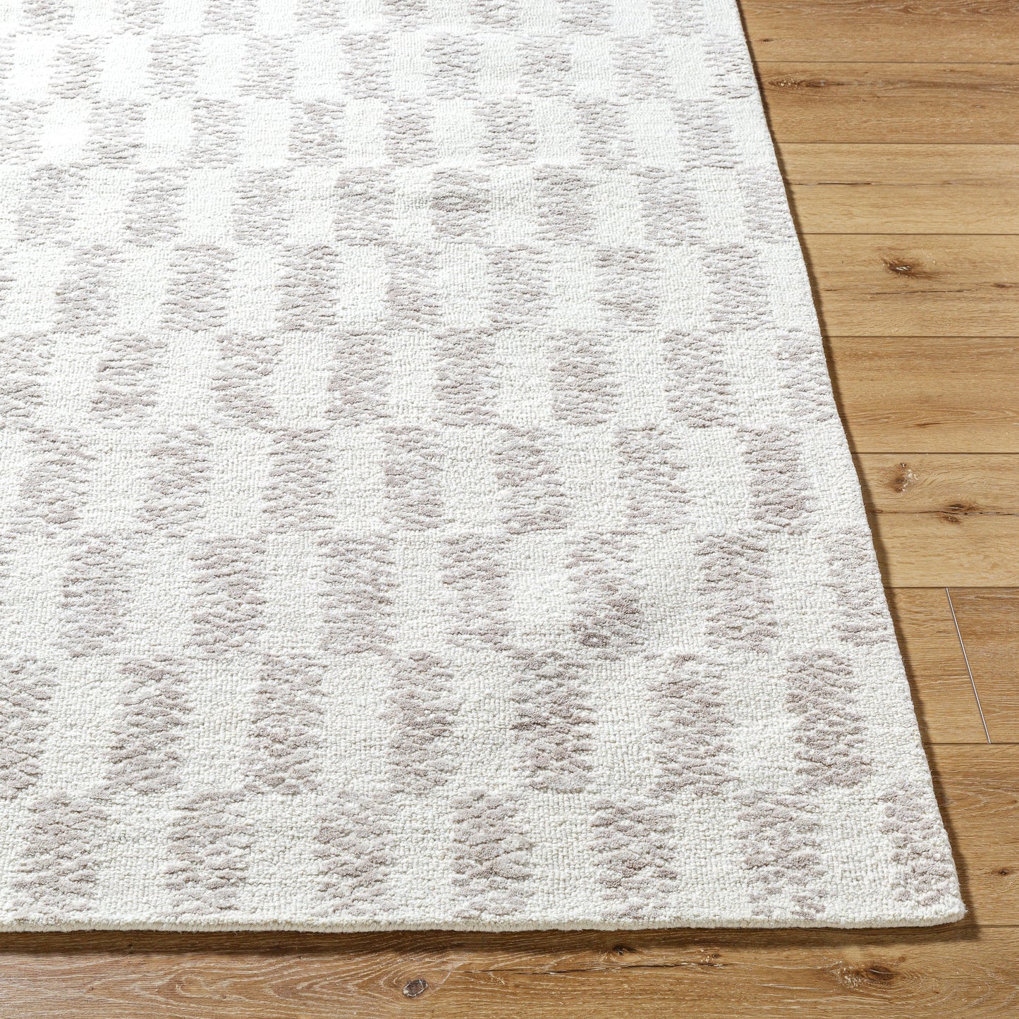 Rize Rug - RZE2300 - Ivory, Beige
