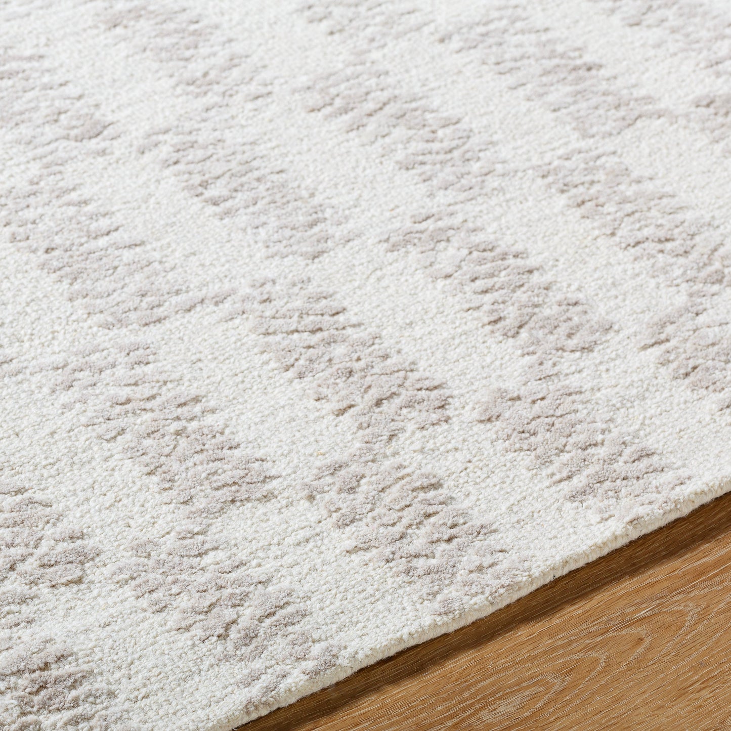 Rize Rug - RZE2300 - Ivory, Beige