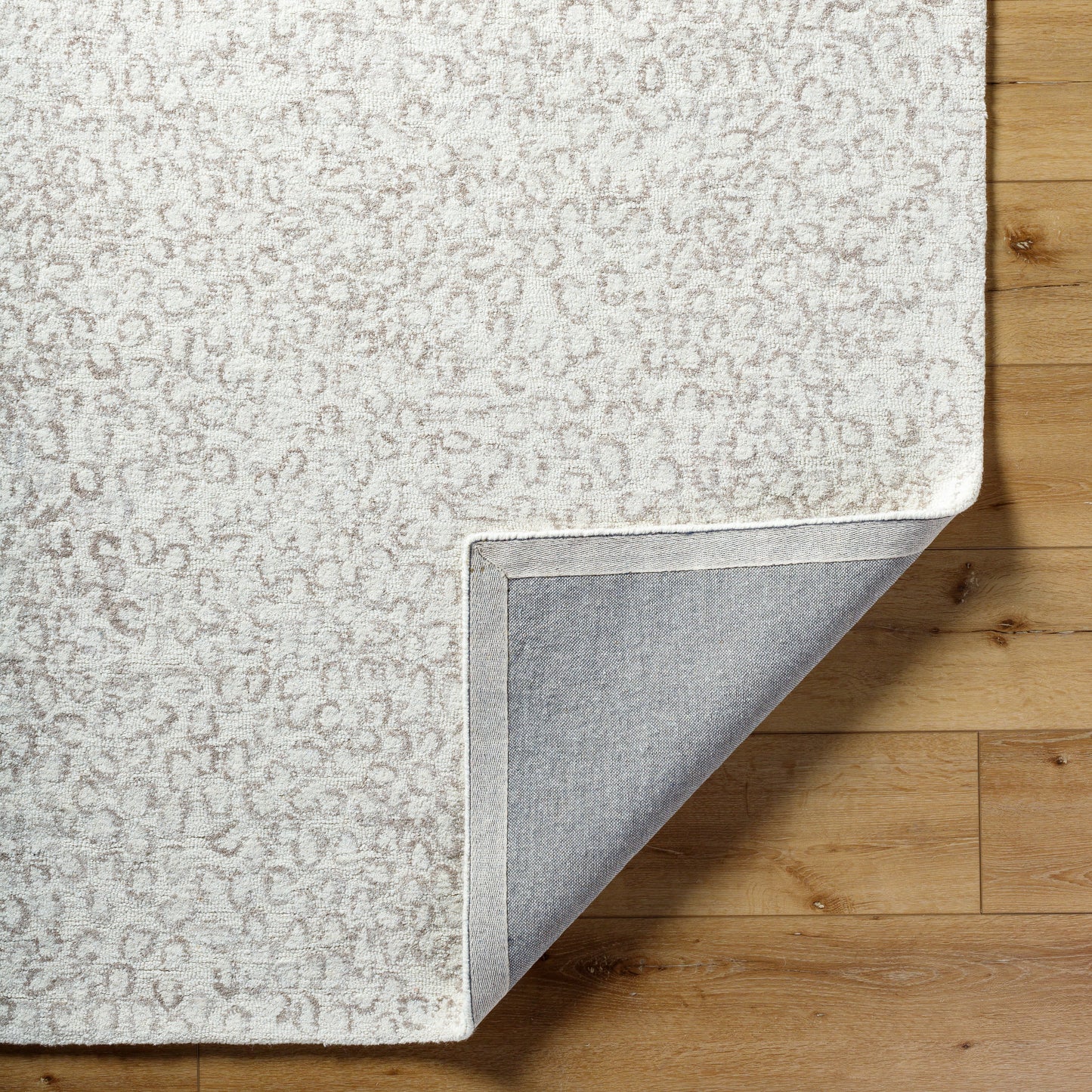 Rize Rug - RZE2308 - Ivory, Beige