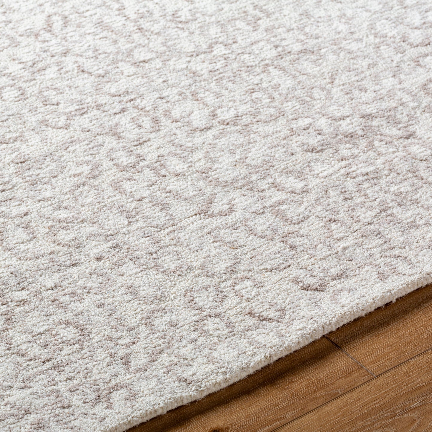 Rize Rug - RZE2308 - Ivory, Beige