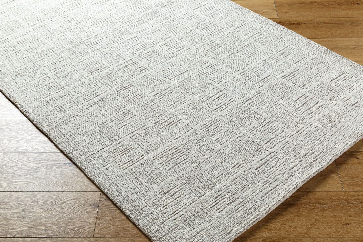 Rize Rug - RZE2311 - Ivory, Gray
